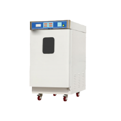 Ethylene Oxide Sterilizer : Ethylene Oxide Sterilizer EOS-A10